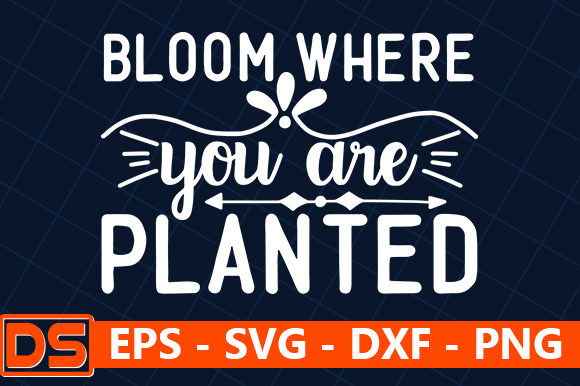 Bloom Where You Are Planted – A Garden of Possibilities